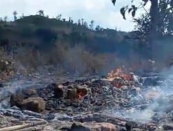 Korek Gas Meledak di Tempat Tidur, Gubuk Penyimpanan Hasil Panen di Situbondo Ludes Terbakar