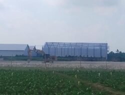 Perluasan Gudang PT Abadi Langgeng Gemilang Jember Diprotes Petani
