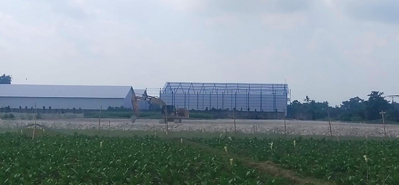 Aktivitas pembangunan perluasan gudang milik PT Abadi Langgeng Gemilang di Desa Jambearum, Rabu (24/6/2026). (Foto: Zainul Hasan - ZONA INDONESIA)