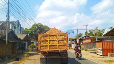 Abaikan Keselamatan, Truk Galian C Ilegal Jember Timur Angkut Pasir Tanpa Penutup Bak