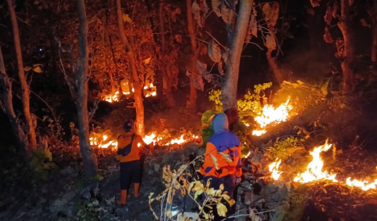 Kondisi lahan jati dilalap api, Minggu (2/8/2026) malam. (Foto: Dok/Pusdalops PB-BPBD Situbondo - ZONA INDONESIA)